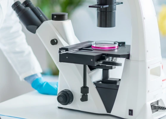 Laboratory Services